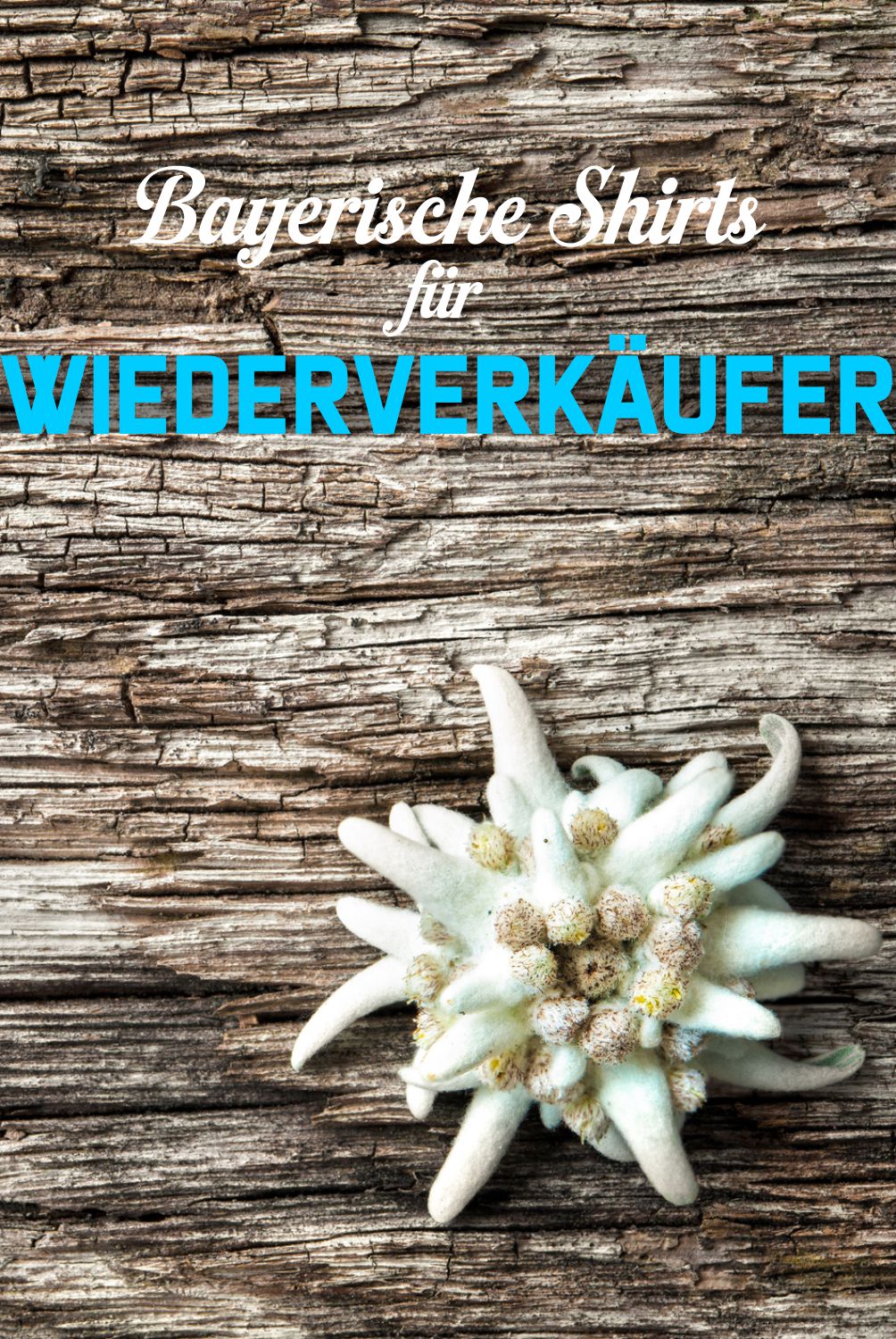 Bayerische Shirts für Händler Vereine und Wiederverkäufer sympathische Wiesn Outfit Herren und Damen und bayerische Trends Bayerisches Lebensgefühl Biergarten und Volksfest Inspirationen BavaRosi Fashion